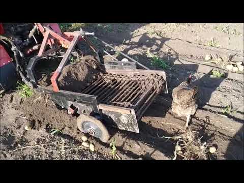 Видео: Навесное  оборудование на Минитрактор Беларус МТЗ 132н, уборка сена, испытание картофелекопалки.