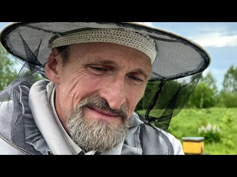 Видео: Какой он Липовый, не липовый, Мёд