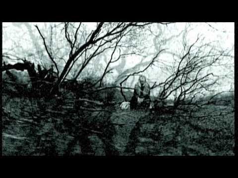 Видео: Ірина Білик - Бандуристе, орле сизий [OFFICIAL VIDEO]