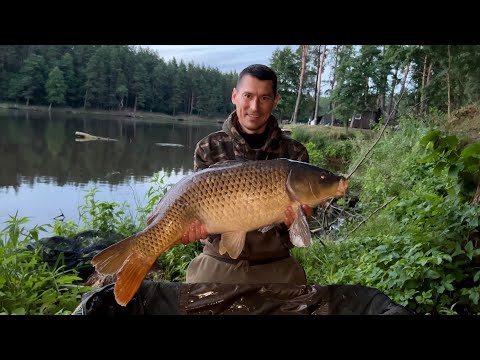 Видео: Рибалка з підписником