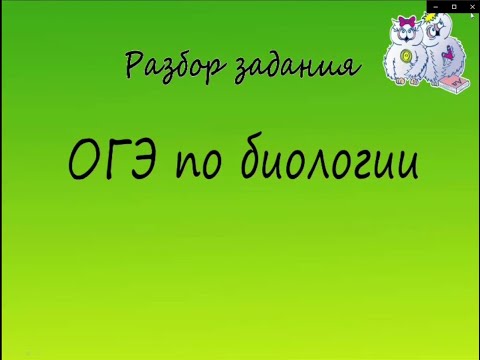 Видео: Биология. Разбор 15 заданий ОГЭ по биологии. Пищевая цепь