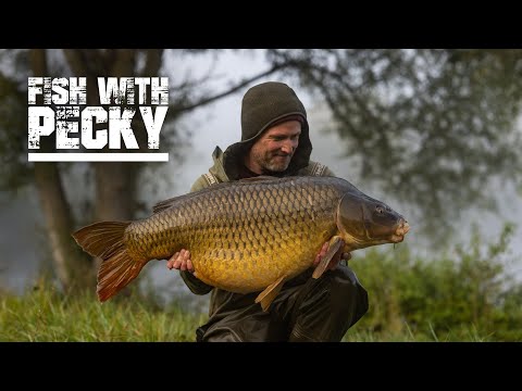 Видео: Ловля крупного карпа в условиях низкой зарыбленности | Извлечение