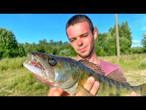 Видео: Если долго мучиться, то что-нибудь получится. СУДАК НА ЯУЗЕ