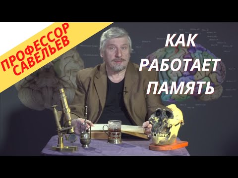 Видео: Профессор Савельев - как работает наша память