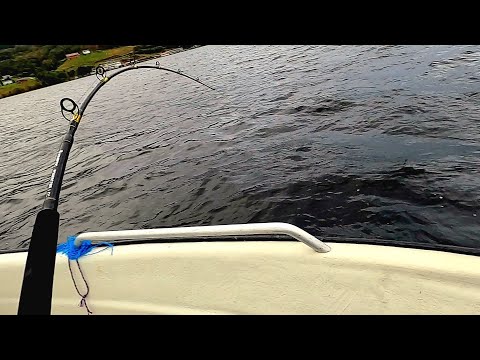 Видео: Ничто нас не остановит!!Рыбалка в Норвегии с ЛОДКИ. морская рыбалка в Норвегии. #lange_fishing