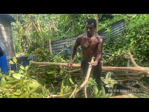 Видео: Посмотрите, что Мелисса с нами делает 🌧️😢😢😓
