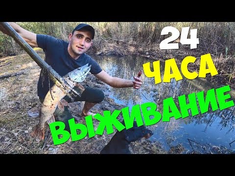 Видео: Выживание 24 часа! Много щуки в ловушке. Бобба убил змею.Шалаш с подогревом.