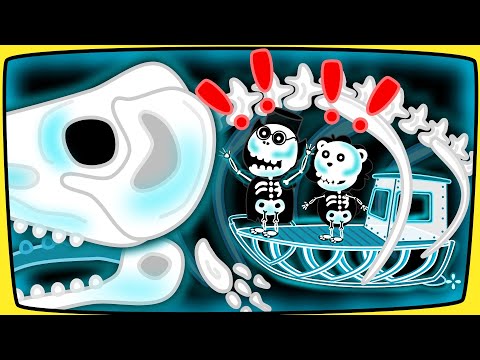 Видео: Lion Family Русский - кашалот на рентгене - Мультик для детей