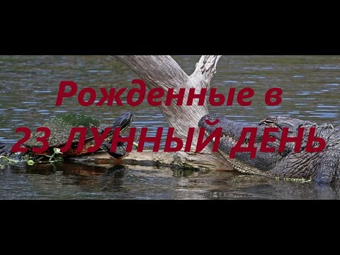 Видео: Рожденные в 23 лунный день. Люди 4 фазы Луны