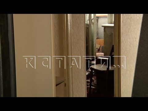 Видео: Человеческая мумия и мумии кошек найдены в квартире после коммунальной аварии