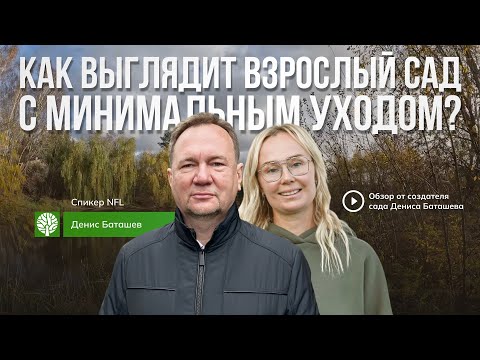 Видео: Как выглядит взрослый сад с минимальным уходом? Обзор от создателя сада – Дениса Баташева