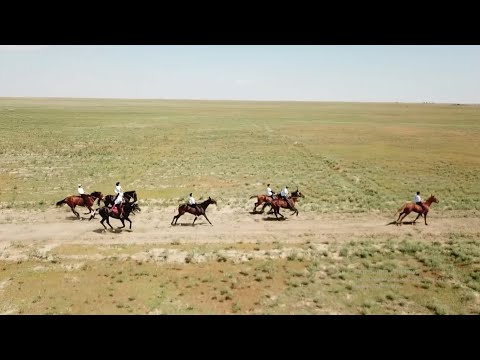 Видео: ТӨЛЕГЕНОВ ТОҚТАР МАЛСАҚБАЙҰЛЫНЫҢ ҚҰРМЕТІНЕ БЕРІЛГЕН БӘЙГЕ || ТАСТӨБЕ АУЫЛЫ