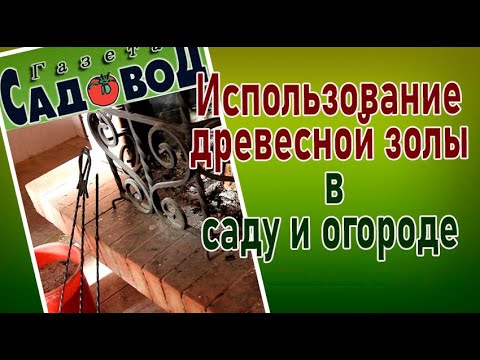 Видео: Использование ДРЕВЕСНОЙ ЗОЛЫ в саду и огороде