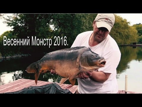 Видео: Весенний Монстр 2016