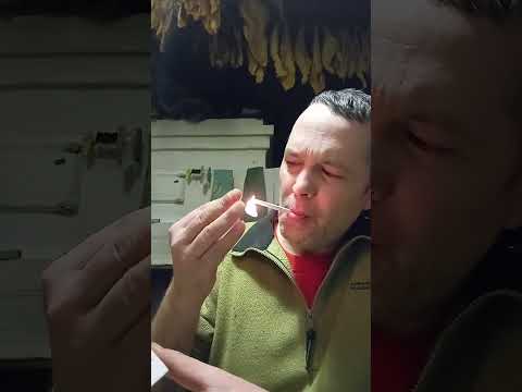 Видео: Ещё раз Мапача и Курëха99 corojo99🤠✊🤝🤝🤝