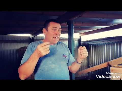 Видео: ЖАРА И НУТРИИ. КАК ИМ?