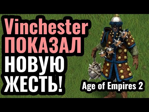 Видео: Vinchester придумал АБСУРДНО сильную стратегию в Age of Empires 2: Гренадеры Чжурчженов