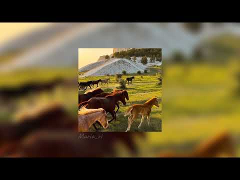 Видео: Andro - Моя душа •{speed up}•