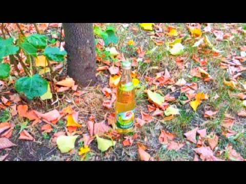 Видео: САМЫЙ ЛУЧШИЙ ОБЗОР НА ДЮШЕС! СУПЕР ОБЗОР!