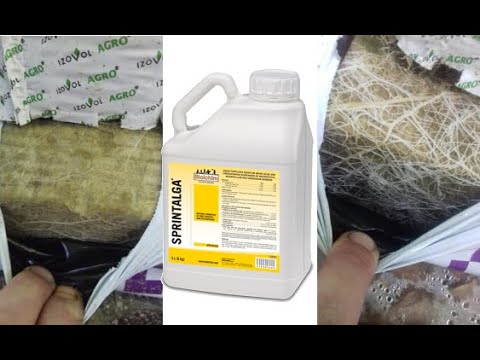 Видео: Технология внесения стимулятора Спринталга в капельный полив