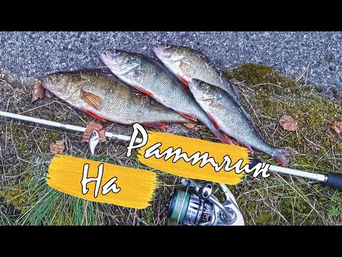 Видео: ОКУНЬ НА РАТТЛИНЫ - эта приманка ловит и зимой и летом! STRIKE PRO FLAP JACK косит окуня!Сходов нет!