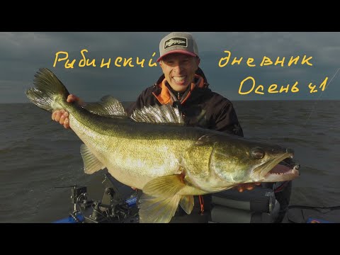 Видео: Судак на 10900 и рыбалка с тренером.