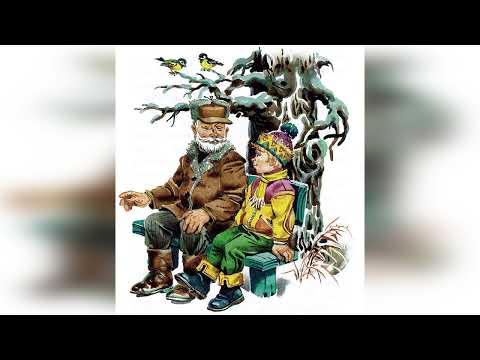 Видео: Е. Пермяк .Чужая калитка.