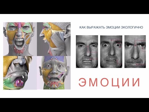 Видео: ЭМОЦИИ. КАК ВЫРАЖАТЬ ЭМОЦИИ ЭКОЛОГИЧНО