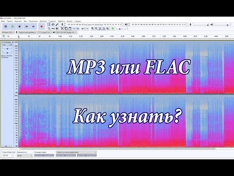 Видео: MP3 Или lOSSLESS Как Определить?
