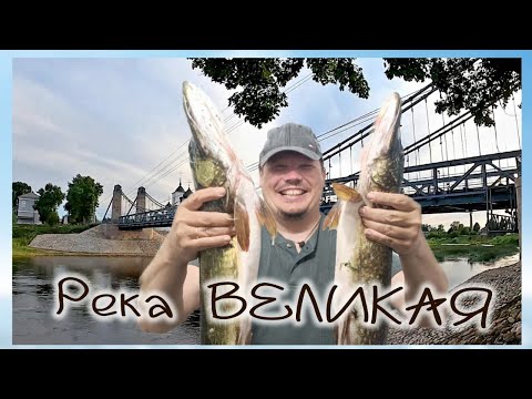 Видео: рыбалка на реке Великая щука и окунь