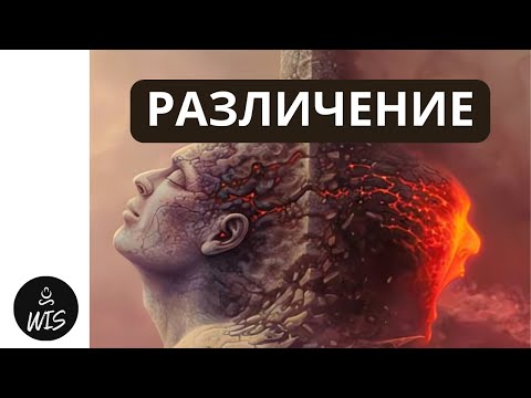 Видео: Как Победить хищника, который крадёт Твою Жизнь. Секрет Карлоса Кастанеды