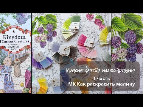 Видео: Красим вместе иллюстрацию 1 часть: Как раскрасить малину