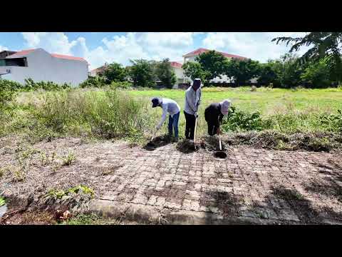 Видео: - Правда о кампании «чистый тротуар», которая шокировала всех!