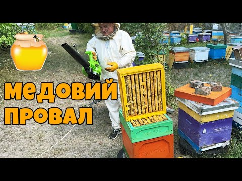 Видео: Відкачка меду 2025: Вперше за 25 років ТАК МАЛО меду!