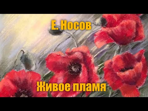 Видео: Е. Носов "Живое пламя"