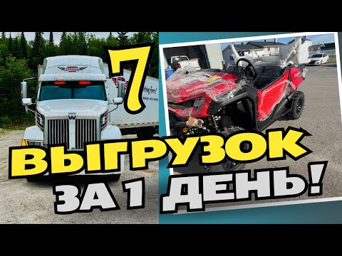 Видео: Семь выгрузок за день-ВОЗМОЖНО!  Как я английский учил. Дальнобой