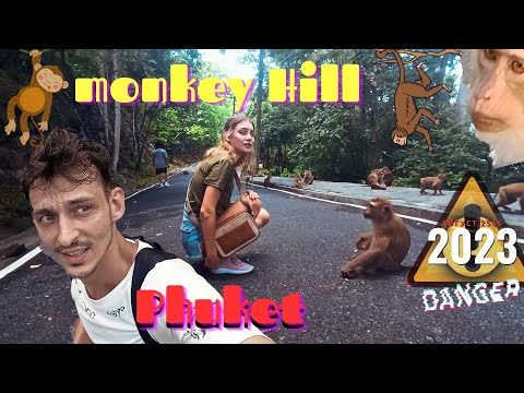 Видео: Пхукет: Monkey Hill - Встреча с обезьянами и потрясающие виды с обзорной площадки