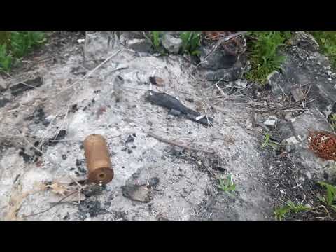 Видео: Капельный полив на картофеле - все нюансы. 8 июня 2024 г.