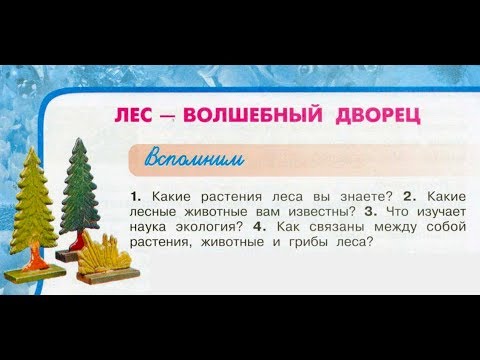 Видео: Окружающий мир 3 класс ч.1, тема урока "Лес - волшебный дворец", с.98-103, Перспектива.