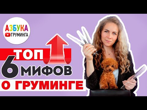 Видео: Мифы в груминге  - наш топ 6
