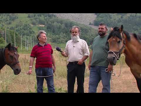 Видео: МОЕ СЕЛО - Село Нижеполе со Перо Цаца (дел 1)