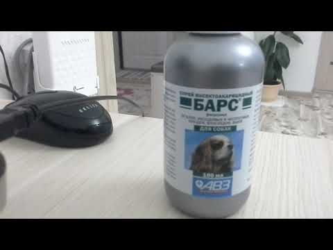 Видео: Как я избавилась от тараканов, средством от блох для собак.