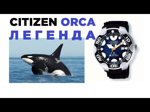 Видео: Синяя ORCA! Citizen Promaster BN0016