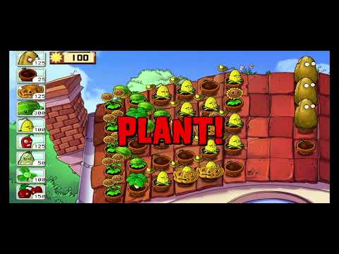 Видео: 6 сентября 2025 г.