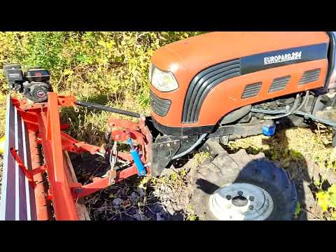 Видео: Гарбузовий валкоутворювач з мульчером в парі в роботі