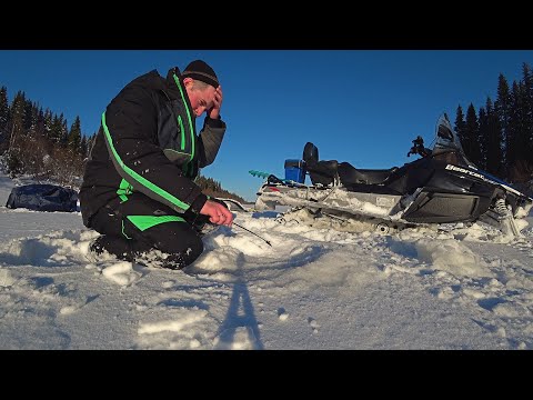 Видео: Спали морозы и ушли метели! Рыбалка на озере! Утренний клёв порадовал! С 23 февраля!!!