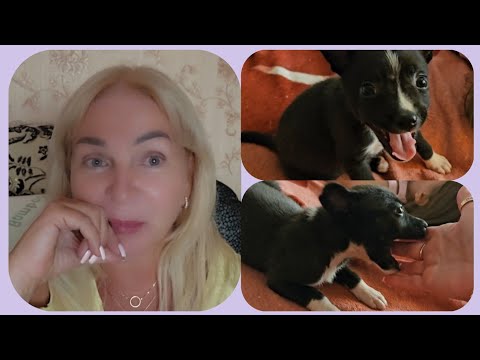 Видео: Никому Не Советую Отель ADALIN RESORT 4* Кемер/Что Я Купила У Есении Новый Друг 👌 Шерхан