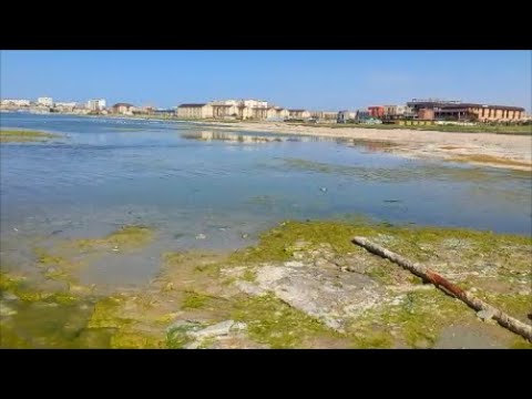 Видео: Старый, забытый пляж не оставил без золота и серебра!