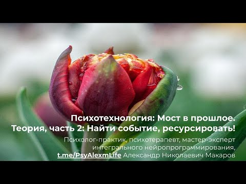 Видео: 130. Психотехника "Мост в прошлое", для отработки эмоциональных травм в прошлом.