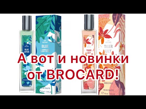 Видео: Новинки от BROCARD! Пополнение линейки Day Dreams.